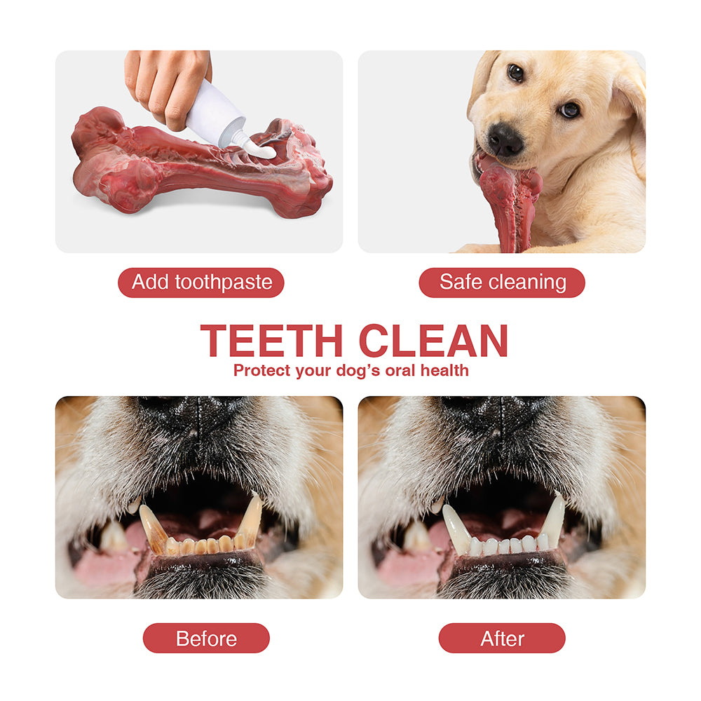 Natural Rubber Bone Dog Chew Toy, Beef Scented 20 cm Large Chew Bone