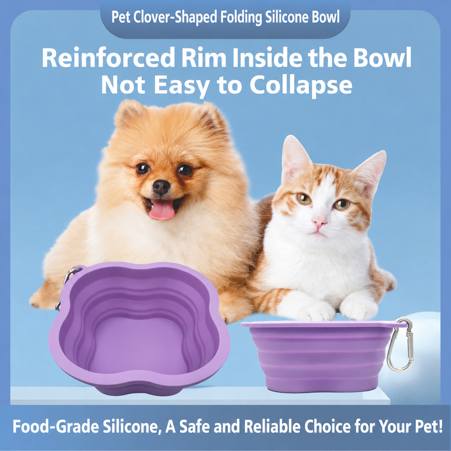 Collapsible Silicone Dog Bowl 500ml/1000ml with Reinforced Rim for Cats and Dogs