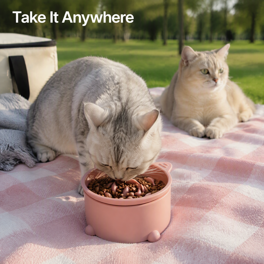 Adjustable Height Slow Feeder Cat Bowl with Tilted Design for Kittens and Adult Cats