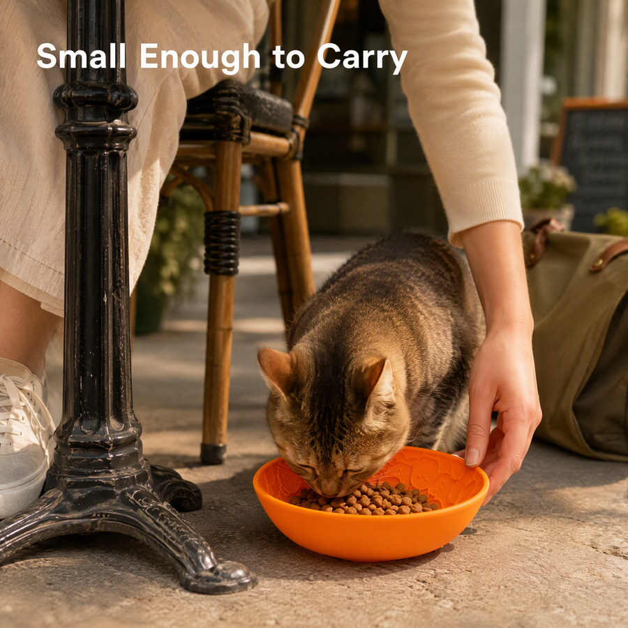 Silicone Reversible Slow Feeder Bowl and Lick Mat for Cats and Dogs