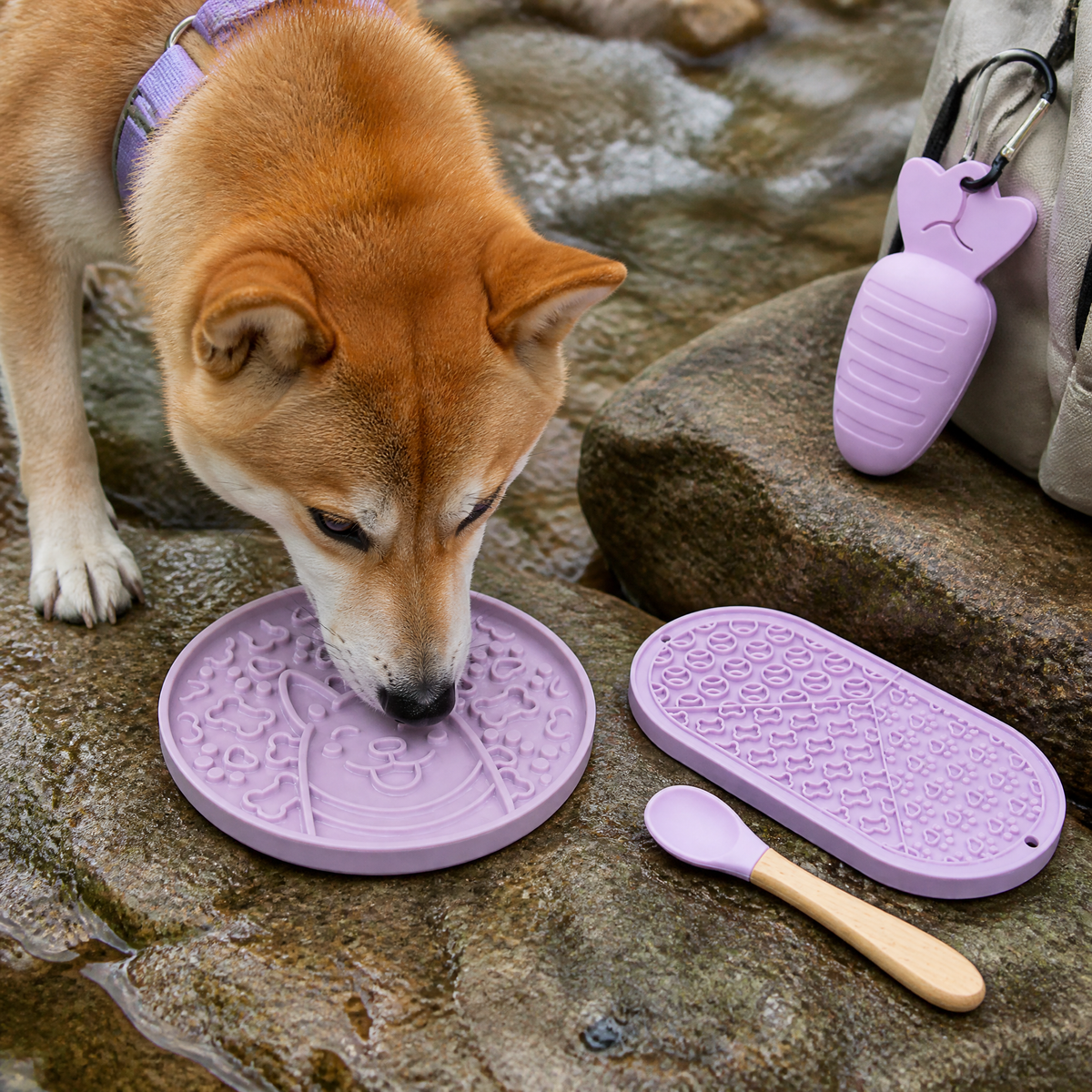Silicone Slow Feeder Plate and Lick Mat 4-Piece Outdoor Dog Feeding Set