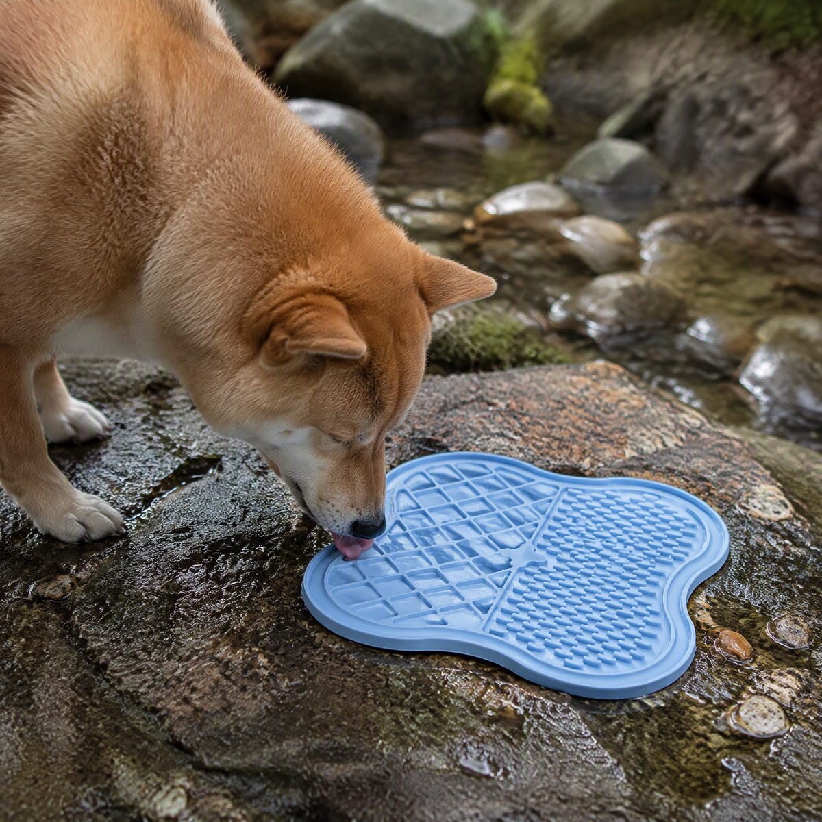 Alfombrilla de Lamer de Silicona Clover para Alimentación Lenta con Texturas de Doble Zona para Perros y Gatos