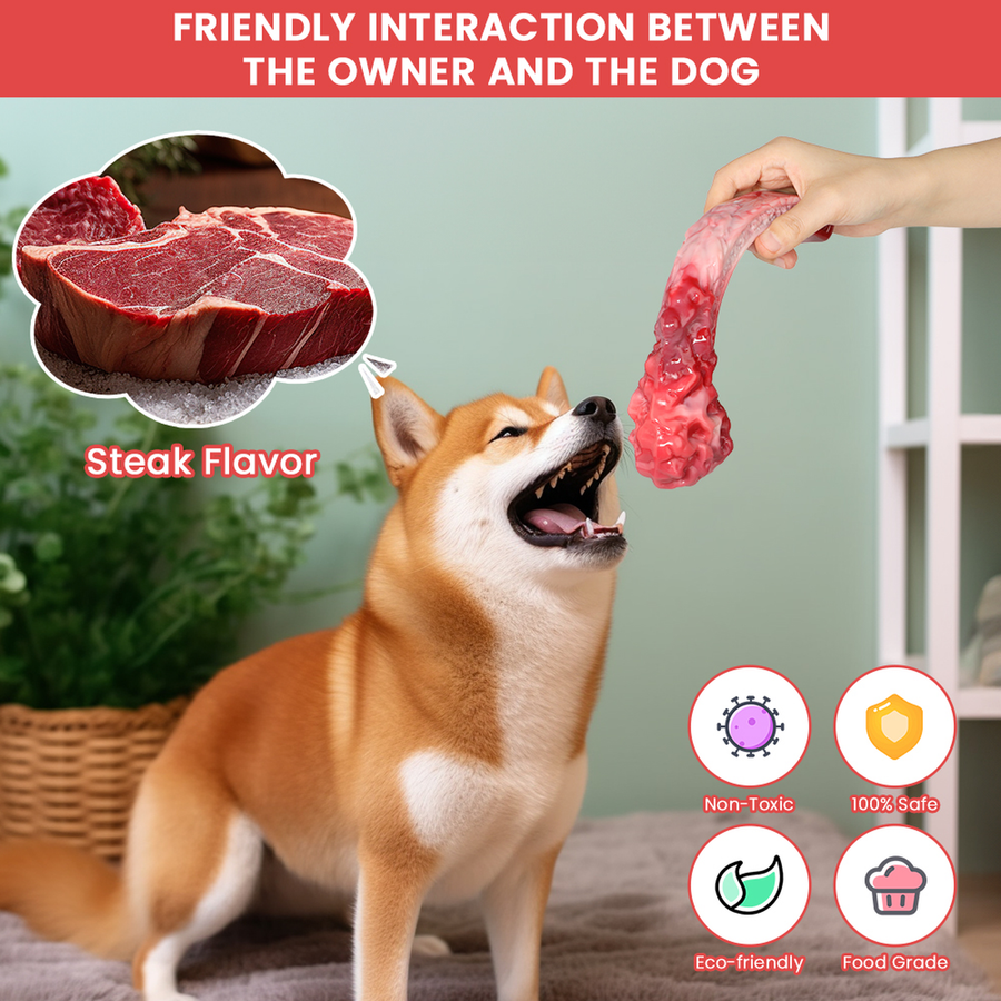 Steak-Shaped Nylon Dog Chew Toy with Meat Aroma for Large Dogs