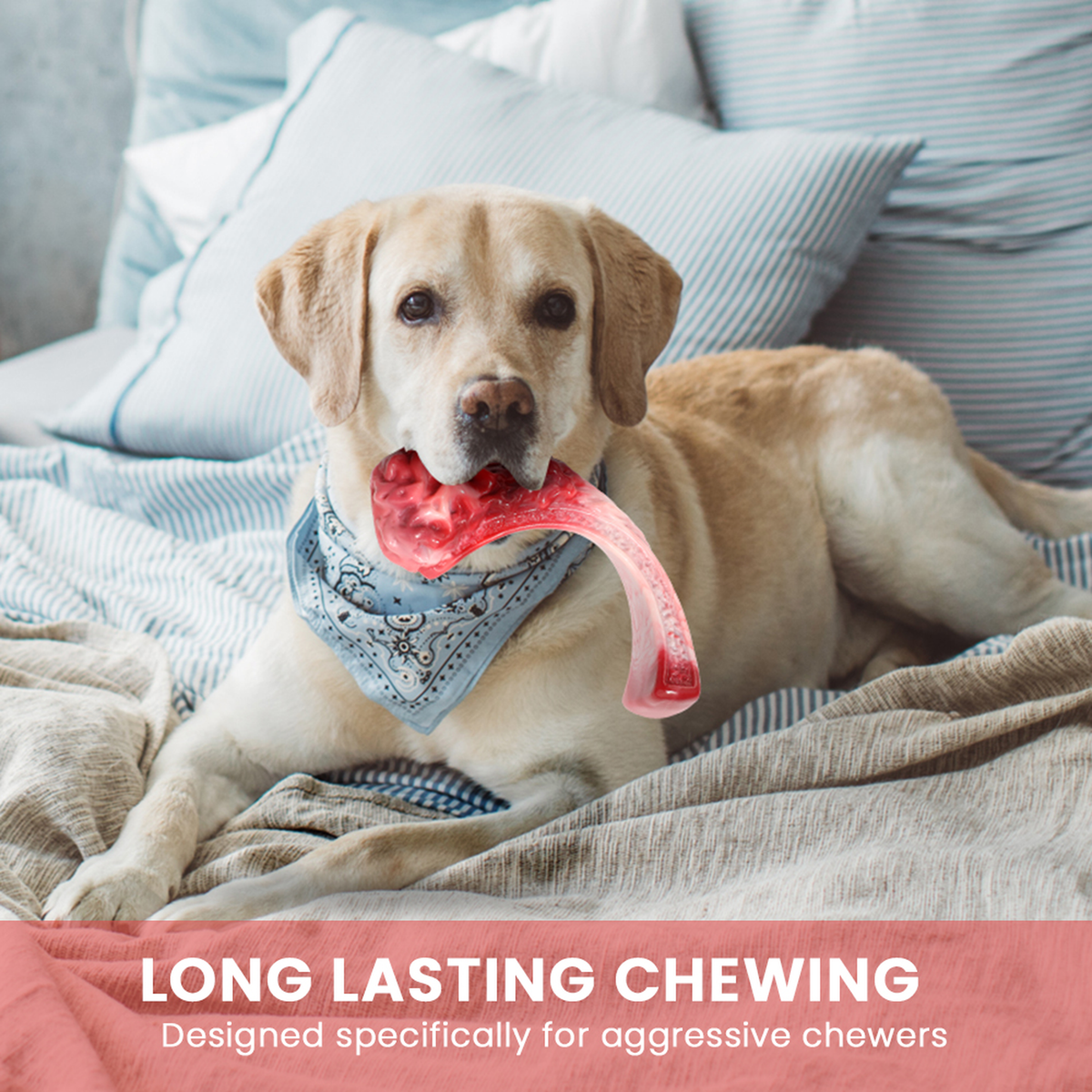 Steak-Shaped Nylon Dog Chew Toy with Meat Aroma for Large Dogs