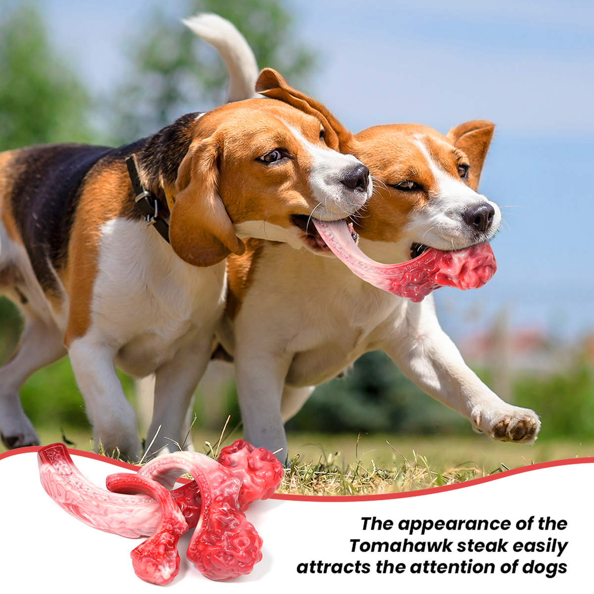 Steak-Shaped Nylon Dog Chew Toy with Meat Aroma for Large Dogs