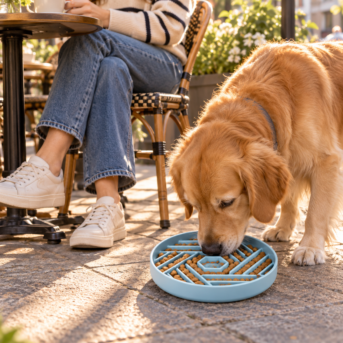 Hexagonal Silicone Slow Feeder Dog Bowl 190 mm Maze Bowl for Wet and Dry Food